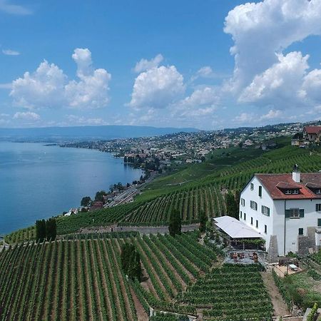 Domaine De La Crausaz 格兰瓦克斯 外观 照片