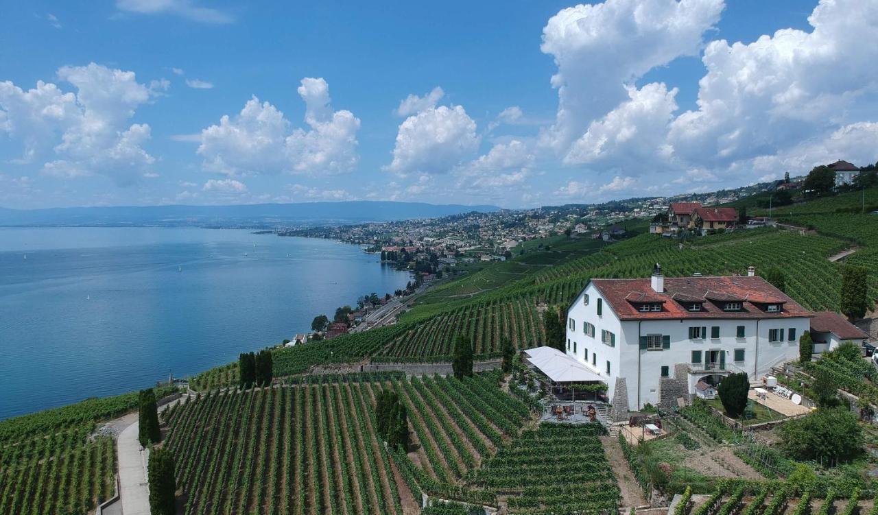 Domaine De La Crausaz 格兰瓦克斯 外观 照片