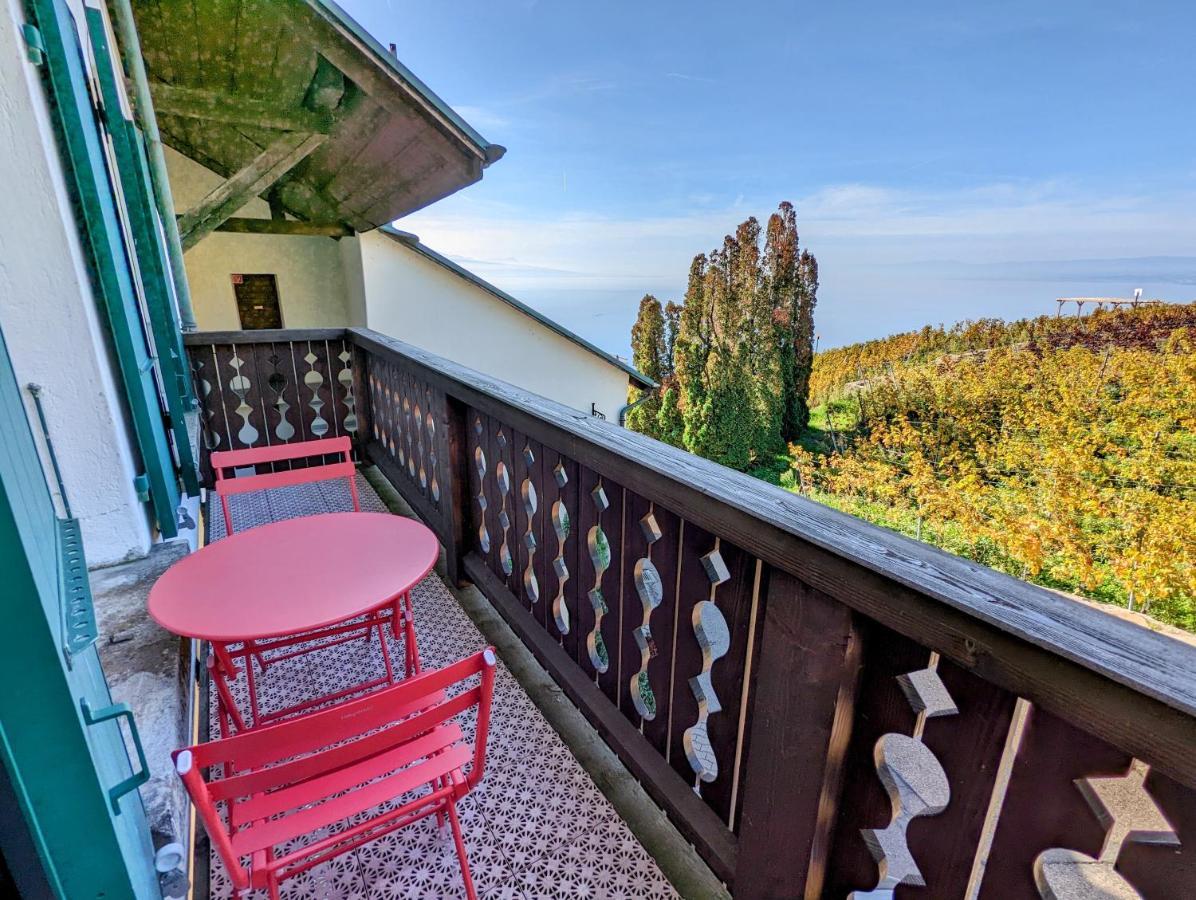 Domaine De La Crausaz 格兰瓦克斯 外观 照片